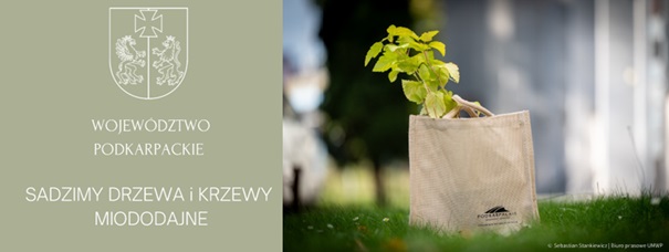 Akcja sadzenia drzew i krzewów miododajnych 2025 w powiecie strzyżowskim